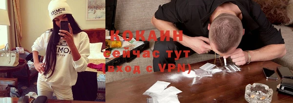 ПСИЛОЦИБИНОВЫЕ ГРИБЫ Богданович