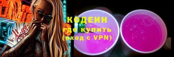 apvp Бородино