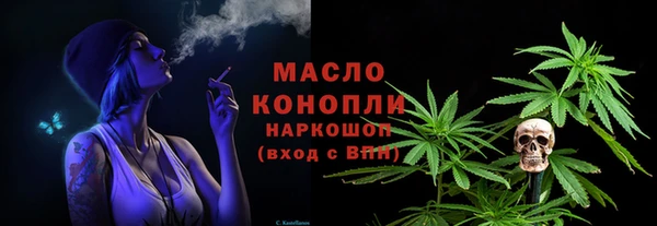 apvp Бородино