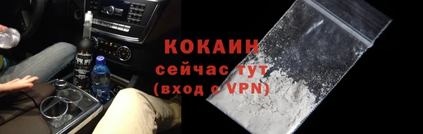 apvp Бородино