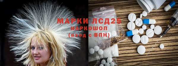 apvp Бородино