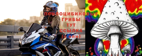 apvp Бородино