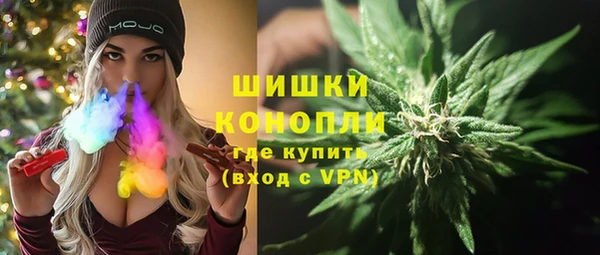 apvp Бородино