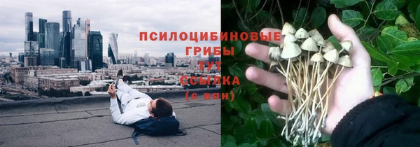 ПСИЛОЦИБИНОВЫЕ ГРИБЫ Бугульма