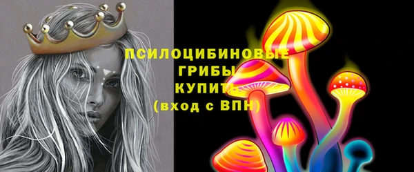apvp Бородино
