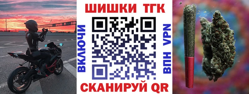 Конопля сатива Можга